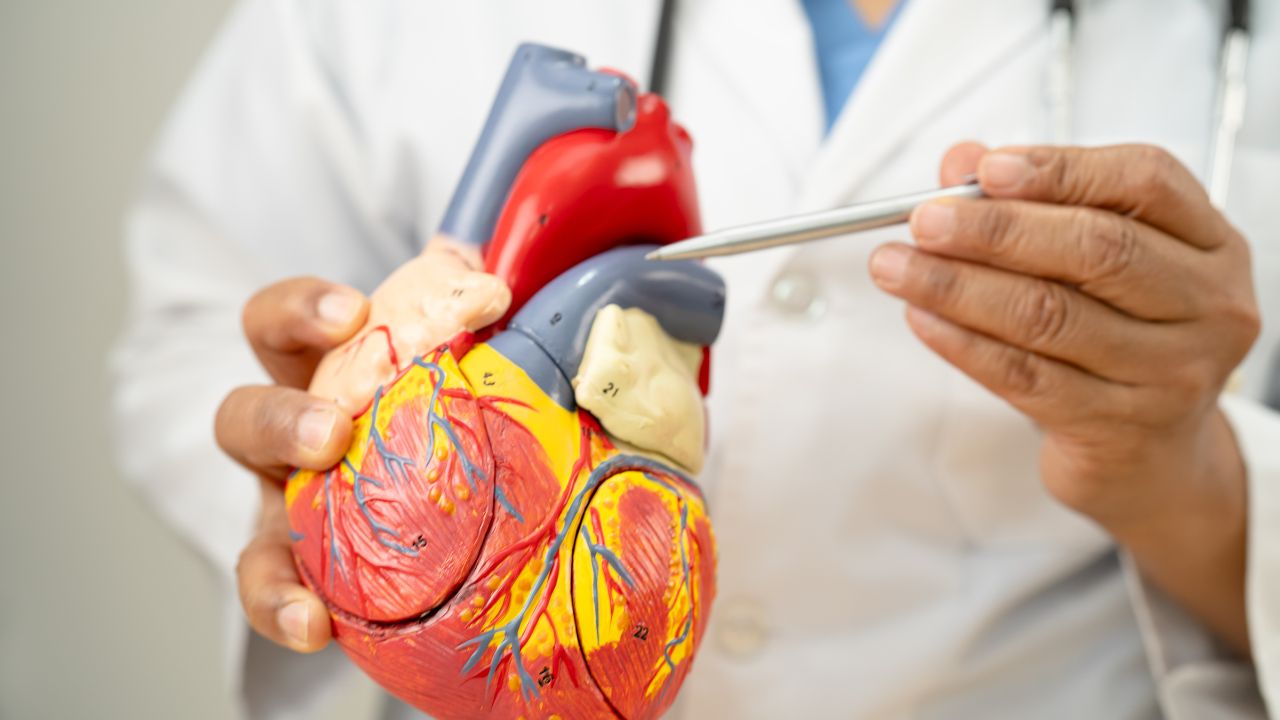 Factores de riesgo cardiovascular OMS