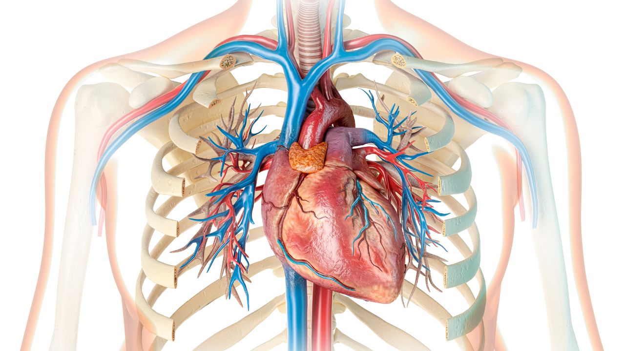 Síntomas de insuficiencia cardiaca en mujeres
